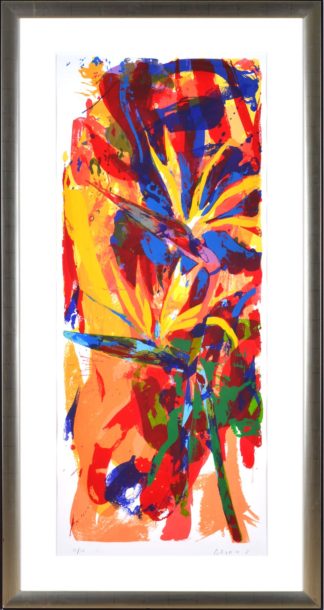 Paul de Vries  | birds of paradise
